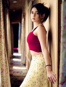 escort service in Ajmer