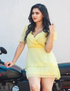 Ajmer call girls